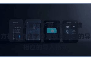 比特派官方下载 用户不错左证我方执有的数字钞票遴荐相应的导入格式