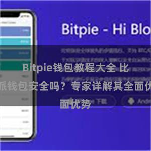 Bitpie钱包教程大全 比特派钱包安全吗？专家详解其全面优势