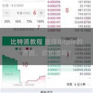 比特派教程 选择Bitpie的原因，你知道吗？