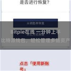 Bitpie在线 一分钟上手比特派钱包，轻松管理多链资产