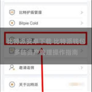 比特派安卓下载 比特派钱包多链资产管理操作指南