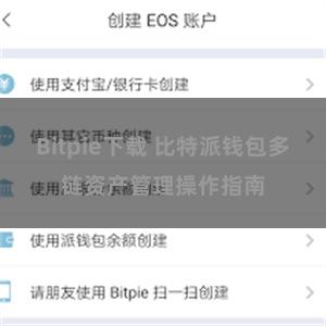 Bitpie下载 比特派钱包多链资产管理操作指南