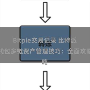 Bitpie交易记录 比特派钱包多链资产管理技巧：全面攻略