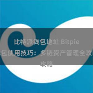 比特派钱包地址 Bitpie钱包使用技巧：多链资产管理全攻略