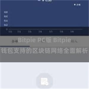 Bitpie PC版 Bitpie钱包支持的区块链网络全面解析