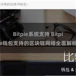 Bitpie系统支持 Bitpie钱包支持的区块链网络全面解析