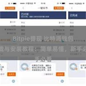 Bitpie提现 比特派钱包下载与安装教程：简单易懂，新手必看