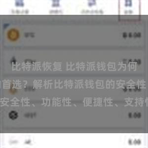 比特派恢复 比特派钱包为何是专业用户的首选？解析比特派钱包的安全性、功能性、便捷性、支持性等优势。