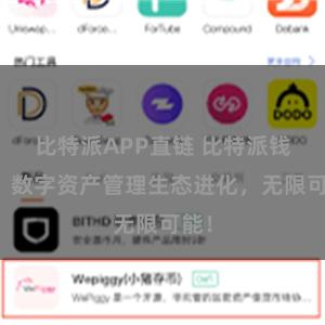 比特派APP直链 比特派钱包：数字资产管理生态进化，无限可能！