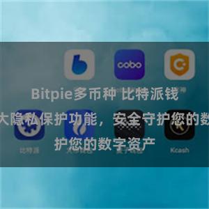 Bitpie多币种 比特派钱包：强大隐私保护功能，安全守护您的数字资产