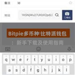 Bitpie多币种 比特派钱包：新手下载及使用指南