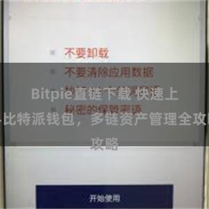 Bitpie直链下载 快速上手比特派钱包，多链资产管理全攻略