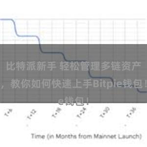 比特派新手 轻松管理多链资产，教你如何快速上手Bitpie钱包！