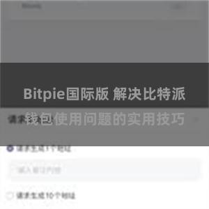 Bitpie国际版 解决比特派钱包使用问题的实用技巧