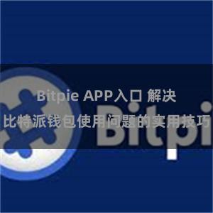 Bitpie APP入口 解决比特派钱包使用问题的实用技巧