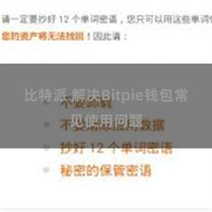 比特派 解决Bitpie钱包常见使用问题