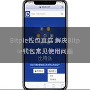 Bitpie钱包直连 解决Bitpie钱包常见使用问题