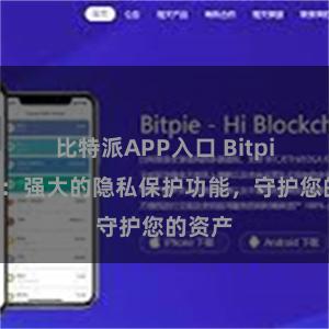 比特派APP入口 Bitpie钱包：强大的隐私保护功能，守护您的资产