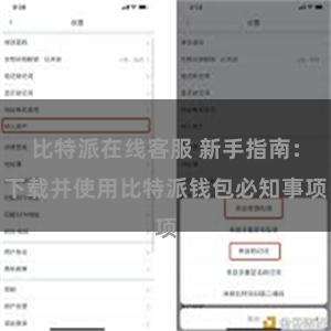 比特派在线客服 新手指南：下载并使用比特派钱包必知事项