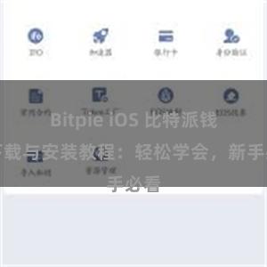 Bitpie iOS 比特派钱包下载与安装教程：轻松学会，新手必看