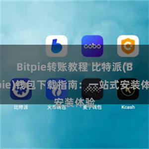 Bitpie转账教程 比特派(Bitpie)钱包下载指南：一站式安装体验