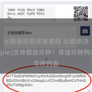 比特派钱包安装教程 比特派(Bitpie)支持哪些币种？详细币种列表