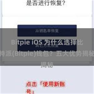 Bitpie iOS 为什么选择比特派(Bitpie)钱包？五大优势揭秘