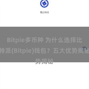 Bitpie多币种 为什么选择比特派(Bitpie)钱包？五大优势揭秘