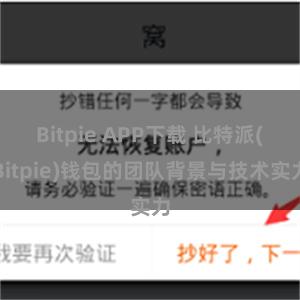 Bitpie APP下载 比特派(Bitpie)钱包的团队背景与技术实力