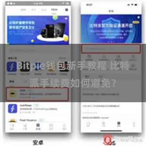 Bitpie钱包新手教程 比特派手续费如何避免？