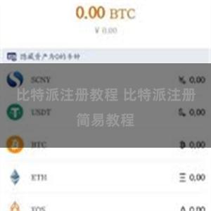 比特派注册教程 比特派注册简易教程