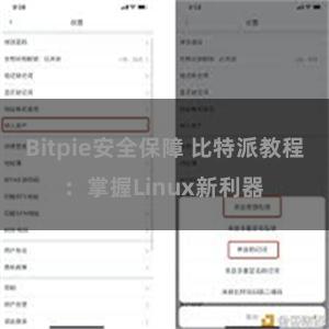 Bitpie安全保障 比特派教程：掌握Linux新利器