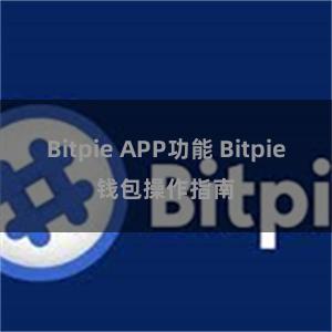 Bitpie APP功能 Bitpie钱包操作指南