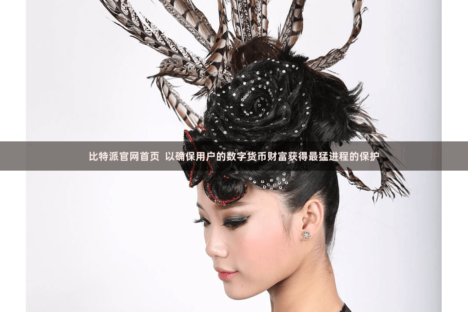 比特派官网首页  以确保用户的数字货币财富获得最猛进程的保护