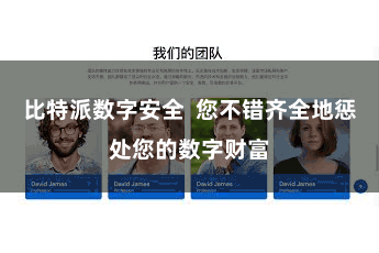 比特派数字安全  您不错齐全地惩处您的数字财富