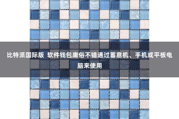 比特派国际版  软件钱包庸俗不错通过蓄意机、手机或平板电脑来使用